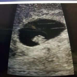 Meet your Posher, Michaela